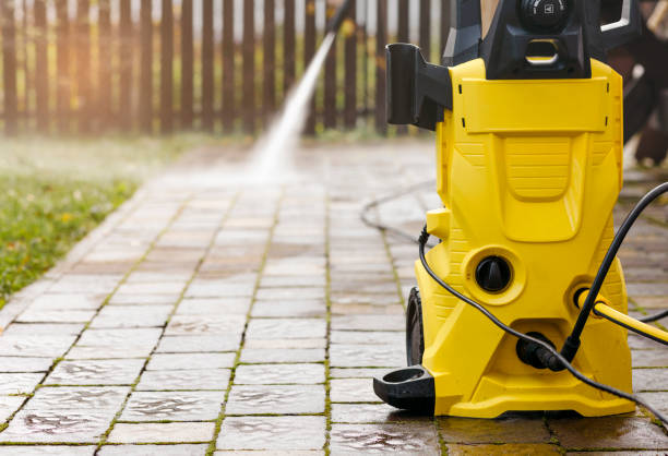 Animal Enclosure Cleaning in Metairie, LA